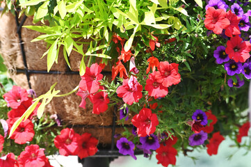 Hayrack Basket on Pole