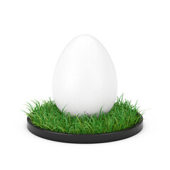 White Chicken Easter Egg in Green Grass. 3d Rendering