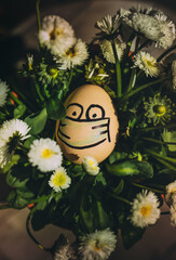 Funny handdrawing egg