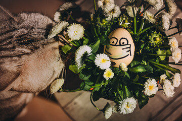 Funny handdrawing egg