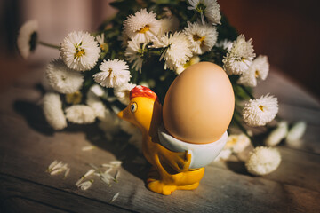 Funny vivid Easter egg concept