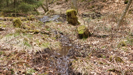 Biberpfad im Forstelbachtal