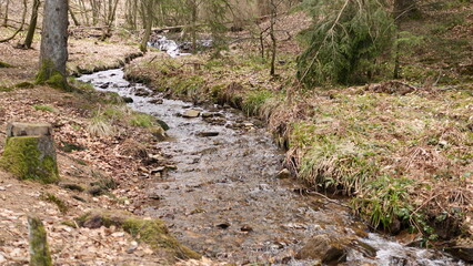 Forstelbach bei Hermeskeil