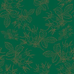 seamless pattern of floral ornaments, the contours of rose hips on a green background