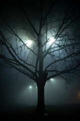 Creepy haunted tree in fog monster