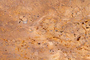 Colored concrete wall texture