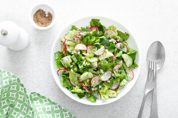Salad bowl of fresh vegetables with radish, cucumber, romaine lettuce, bell pepper and greens. Healthy food