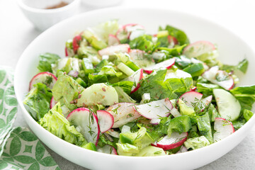 Salad bowl of fresh vegetables with radish, cucumber, romaine lettuce, bell pepper and greens. Healthy food