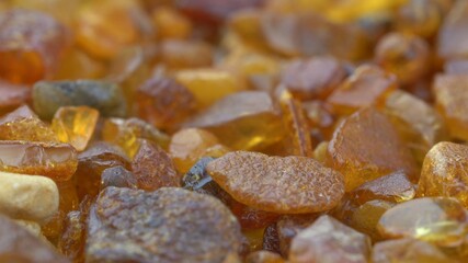 Amber Stones Collection Macro Close-up