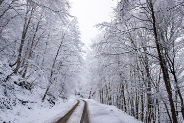 snow covered road in winter