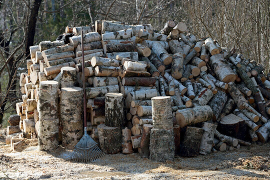 A Rake Leaning  On A Big Pile Of Logs