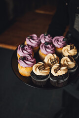 Waiter is serving a platter of yummy blueberry and chocolate cupcakes