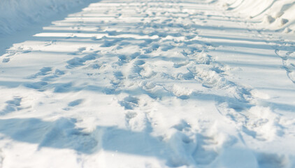 A path in a snow-covered winter forest on a cold winter day. footprints in the snow