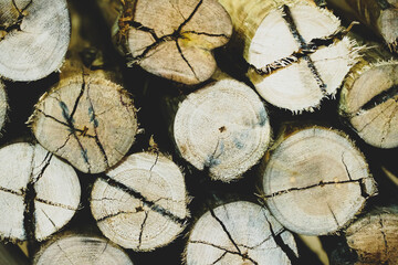 Naklejka premium Wooden natural sawn logs as background.