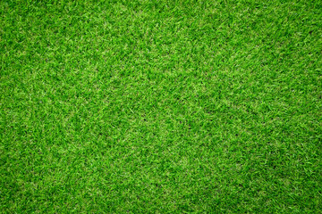 Green grass texture background Top view of bright grass garden. Idea concept used for making green backdrop.