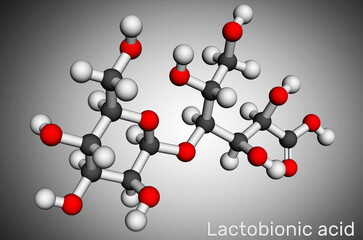 Lactobionic acid, lactobionate  molecule. It is a disaccharide, sugar acid, food additive E399. Molecular model. 3D rendering