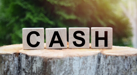 The word CASH is written on wooden cubes. Wooden cubes on a green lawn background for your design, concepts.