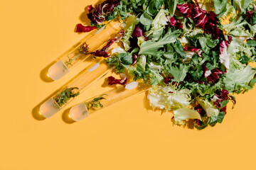 Top view of plants in glass flasks placed on yellow background with various leaves
