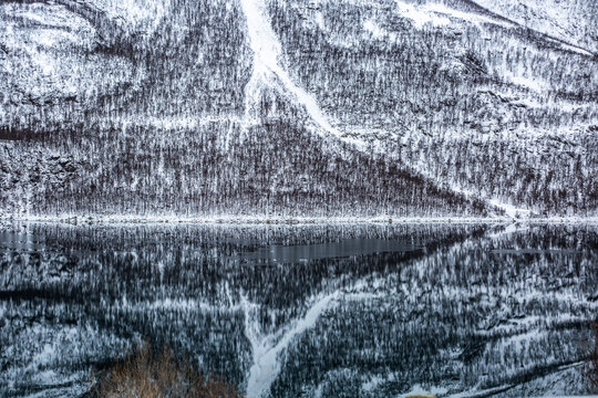 Scenery of mountain slope covered with snow and leafless trees reflecting in smooth water surface of lake in winter in Norway