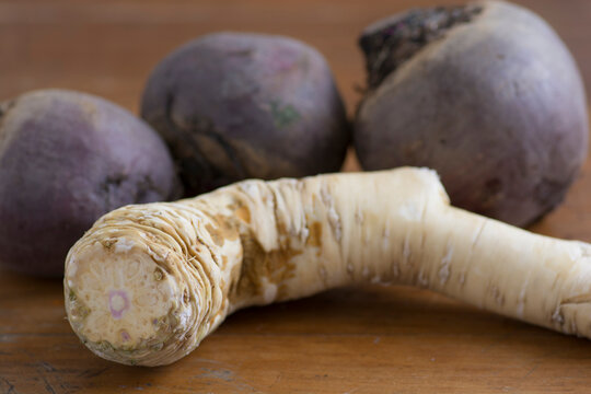 Close up of an Horseradish (Armoracia rusticana, syn. Cochlearia armoracia) a root vegetable, cultivated and used worldwide as a spice and as a condiment, placed on the table next to beetroots 