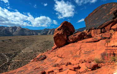 Out and about in the red rocks ( Colorado )