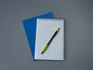 Two checkered notebooks and a mechanical pencil