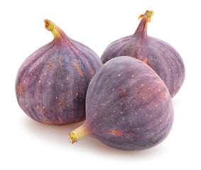 figs path isolated on white