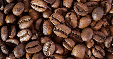 Coffee beans close up
