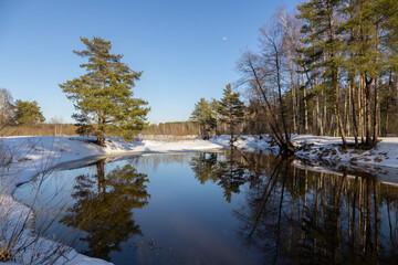 Sunny spring day by the water. Trees are reflected in the river The river flows in early spring.