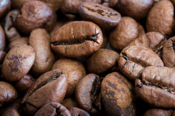 Coffee beans close up