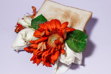 a sandwich with gerbera flowers, and white roses, instead of a cutlet. Creative conceptual weird photography