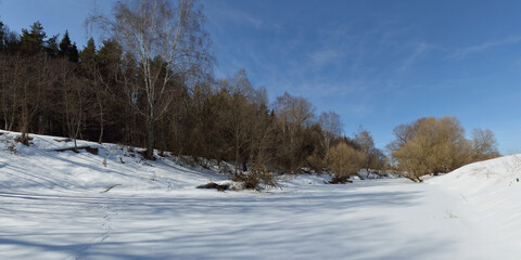 Spring walk through the forest, beautiful panorama.