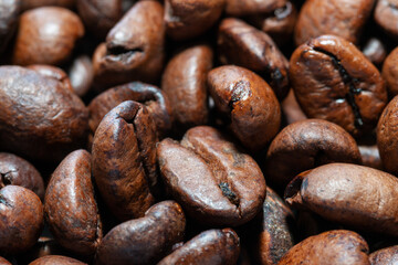 Coffee beans close up
