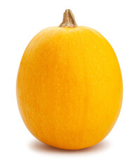 spaghetti squash path isolated on white