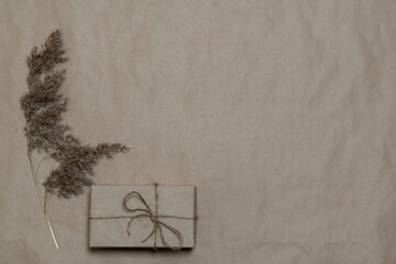Soft pastel craft paper gift box with eucalyptus branches on white background.