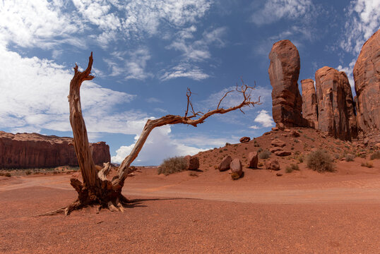Amazing scenery of tall rocky monuments located in sunny desert sandy terrain against cloudy sky in national park of USA