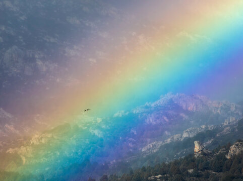 Bird flying through vivid rainbow on cloudy sky over mountain ridge