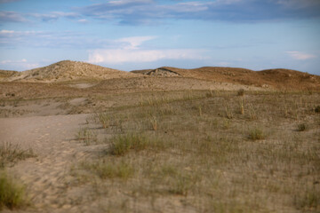 golden sand dunes with grass