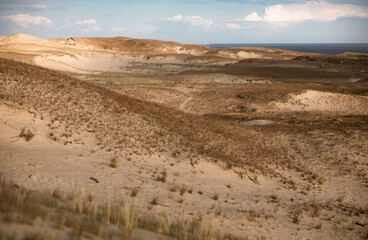 Fototapeta na wymiar golden sand dunes with grass