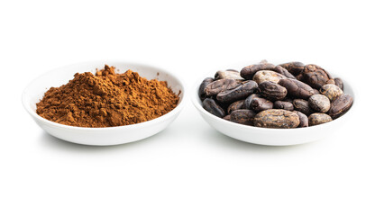 Roasted cocoa beans and cocoa powder