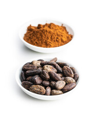 Roasted cocoa beans and cocoa powder