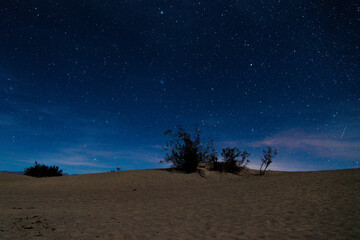 starry night sky