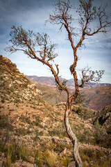 Fototapeta premium hiking in sucre, bolivia, maragua crater