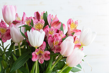 Pink Alstroemeria and tulips against white background