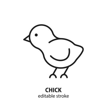 Chick vector flat line icon. Editable stroke.