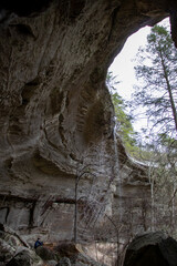 Stone wall in woods of Tennessee