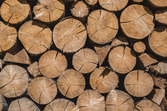 Stacked timber wood logs, firewood background pattern 