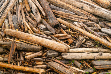 pile of driftwood and logs