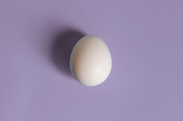 Easter concept. White egg on a pink background in pastel colors. The chicken laid the egg. Natural organic homemade products. Copy space for text