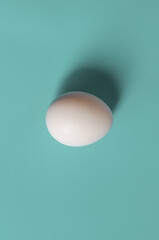 Easter concept. White egg on a green background in pastel colors. The chicken laid the egg. Natural organic homemade products. Copy space for text